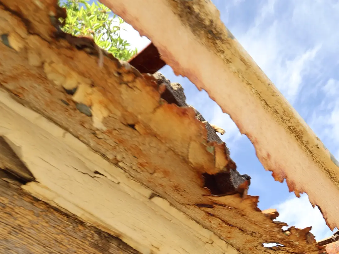 The fascia timber behind the old gutter, rotted through